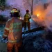 14 Kebakaran Lahan Terjadi di Kota Malang dalam Sepekan