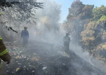 2 Kebakaran Lahan Landa Kota Malang dalam Sehari, Warga Diimbau Tak Buang Puntung Rokok
