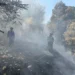2 Kebakaran Lahan Landa Kota Malang dalam Sehari, Warga Diimbau Tak Buang Puntung Rokok
