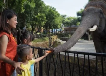 3 Wisata Fauna di Malang untuk Liburan Edukatif Bersama Keluarga
