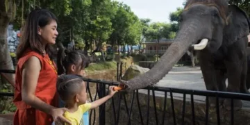3 Wisata Fauna di Malang untuk Liburan Edukatif Bersama Keluarga