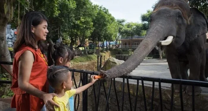 3 Wisata Fauna di Malang untuk Liburan Edukatif Bersama Keluarga