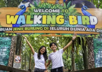 5 Aktivitas Edukasi Lingkungan untuk Anak di Eco Active Park Kota Batu