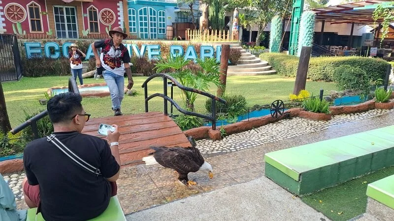 5 Aktivitas Edukasi Lingkungan untuk Anak di Eco Active Park Kota Batu