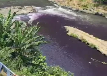 Air Sungai Brantas Berubah Warna Jadi Ungu, DLH Kota Malang Periksa 12 Industri