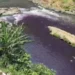 Air Sungai Brantas Berubah Warna Jadi Ungu, DLH Kota Malang Periksa 12 Industri