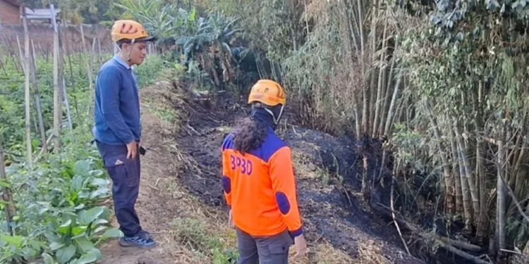 Bakar Sampah Sembarangan Diduga Picu Kebakaran Lahan Bambu di Mojorejo Batu