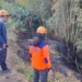 Bakar Sampah Sembarangan Diduga Picu Kebakaran Lahan Bambu di Mojorejo Batu