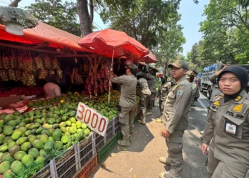 Bikin Geleng Kepala, Lapak Buah di Kedungkandang Malang Punya Fasilitas Kasur, TV hingga WiFi