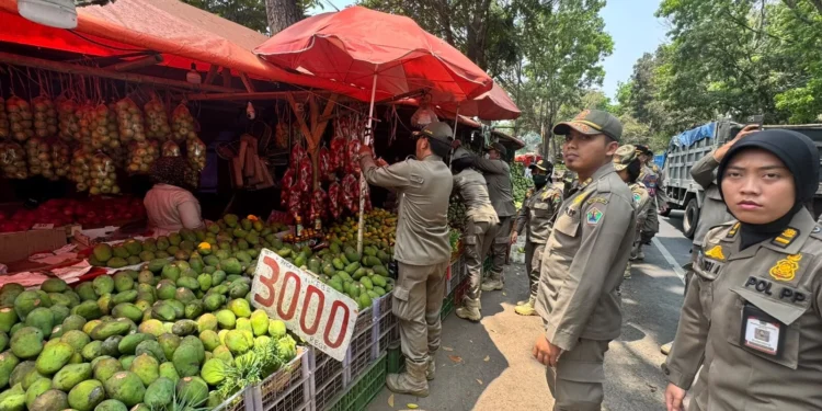 Bikin Geleng Kepala, Lapak Buah di Kedungkandang Malang Punya Fasilitas Kasur, TV hingga WiFi