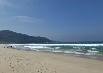 Disparbud Kabupaten Malang Petakan Kawasan Kehutanan Sosial untuk Investasi Wisata Pantai Selatan