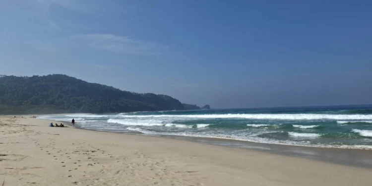Disparbud Kabupaten Malang Petakan Kawasan Kehutanan Sosial untuk Investasi Wisata Pantai Selatan