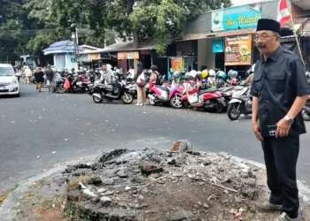 Anggota DPRD Kota Malang, Arief Wahyudi akan usulkan pembangunan patung singan di Jalan Patimura. Foto/dok