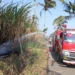 Dua Lahan Tebu Terbakar di Wagir dalam Sehari, Total 1,5 Hektare Terdampak