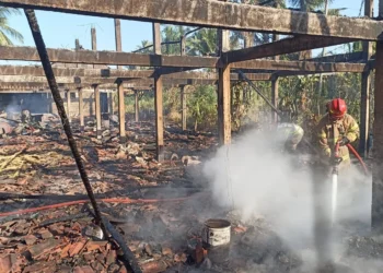 Kebakaran di Malang: Kandang Ayam dan Lahan Tebu dalam Sehari