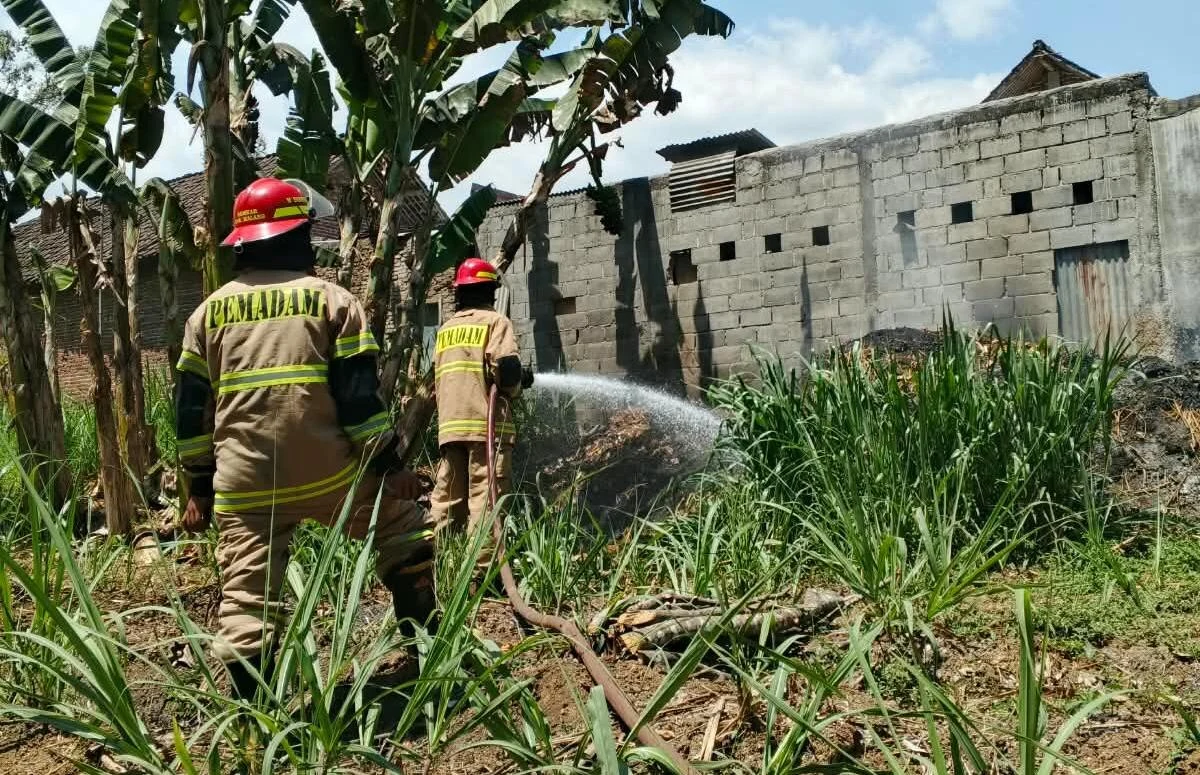 Kebakaran di Malang: Kandang Ayam dan Lahan Tebu dalam Sehari