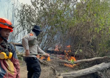 Kebakaran Gunung Butak Meluas, Helikopter Water Bombing Dikerahkan