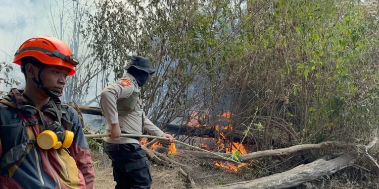 Kebakaran Gunung Butak Meluas, Helikopter Water Bombing Dikerahkan
