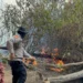 Kebakaran Gunung Butak Meluas, Helikopter Water Bombing Dikerahkan