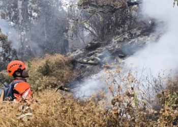 Kebakaran Hutan di Gunung Butak Terjinakkan, 15 Hektare Lahan Hangus
