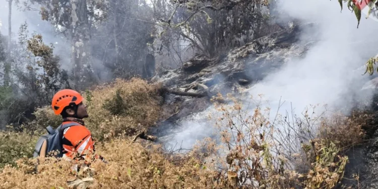 Kebakaran Hutan di Gunung Butak Terjinakkan, 15 Hektare Lahan Hangus