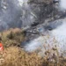 Kebakaran Hutan di Gunung Butak Terjinakkan, 15 Hektare Lahan Hangus