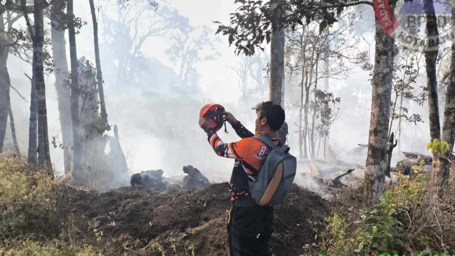 Kebakaran Hutan Di Gunung Butak Terjinakkan 15 Hektare Lahan Hangus 18