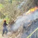 Kebakaran Hutan Pinus Kota Batu, 1 Hektare Terbakar akibat Bakar Serasah