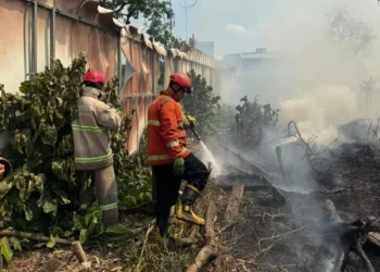 Kebakaran Lahan Kembali Landa Kota Malang, Diduga Dibakar Orang Tak Dikenal