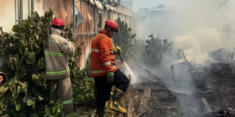 Kebakaran Lahan Kembali Landa Kota Malang, Diduga Dibakar Orang Tak Dikenal