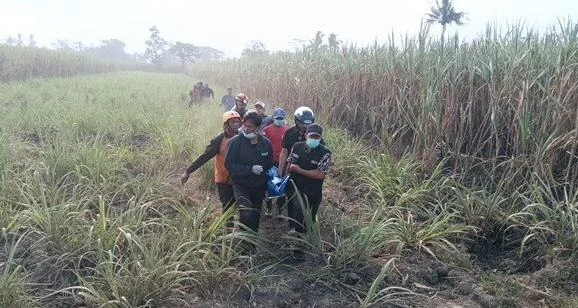 Kebakaran Lahan Tebu di Pakisaji Malang, Pemilik Lahan Tewas