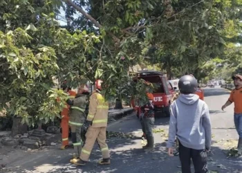 angin kencang - Potensi Angin Kencang di Kota Batu, BPBD Imbau Masyarakat Waspada