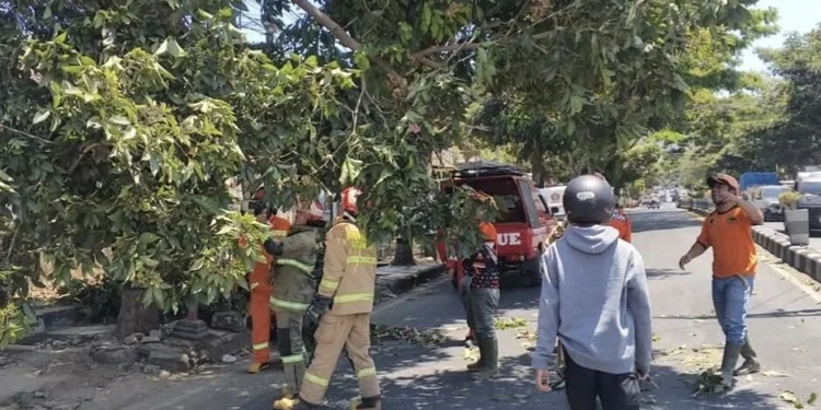angin kencang - Potensi Angin Kencang di Kota Batu, BPBD Imbau Masyarakat Waspada