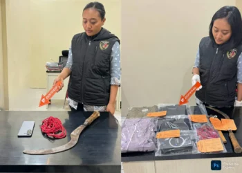 Pria di Bantur Diduga Aniaya dan Coba Perkosa Perempuan 20 Tahun, Dijanjikan Pekerjaan