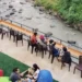 Rekomendasi Cafe Pinggir Sungai di Malang: Sajikan Tempat Ngopi yang Estetik dan Menyegarkan