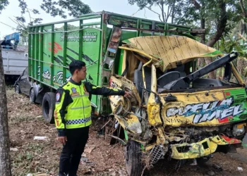Truk Bibit Tebu Terperosok ke Sungai Brantas di Kepanjen, 2 Orang Luka