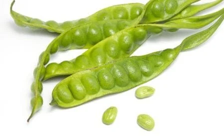 6 Manfaat Petai bagi Kesehatan