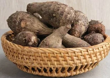 8 Manfaat Kimpul untuk Kesehatan, dari Pencernaan hingga Kulit