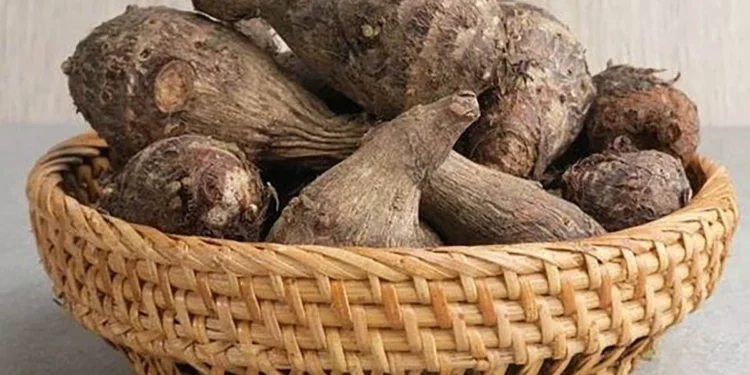 8 Manfaat Kimpul untuk Kesehatan, dari Pencernaan hingga Kulit