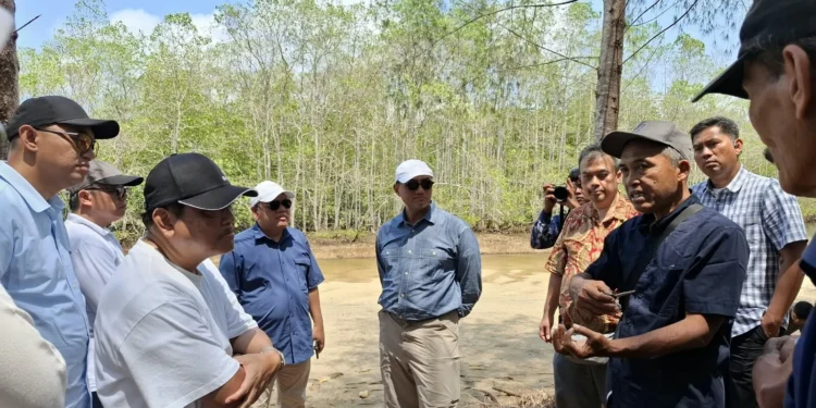 Ketua BAKN RI Andreas Eddy Susetyo (kiri) dan Kepala Eksekutif OJK Hasan Fawzi saat meninjau potensi karbon mangrove di Pantai CMC Tiga Warna. Foto: Azmy