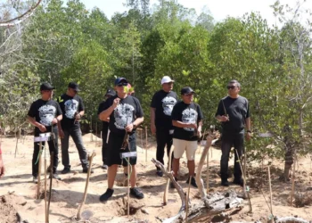 CMC Tiga Warna Bidik Bursa Karbon, Andreas Targetkan Tanam Mangrove 10,5 Hektare per Tahun
