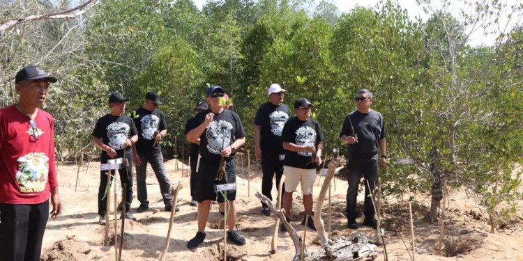 CMC Tiga Warna Bidik Bursa Karbon, Andreas Targetkan Tanam Mangrove 10,5 Hektare per Tahun