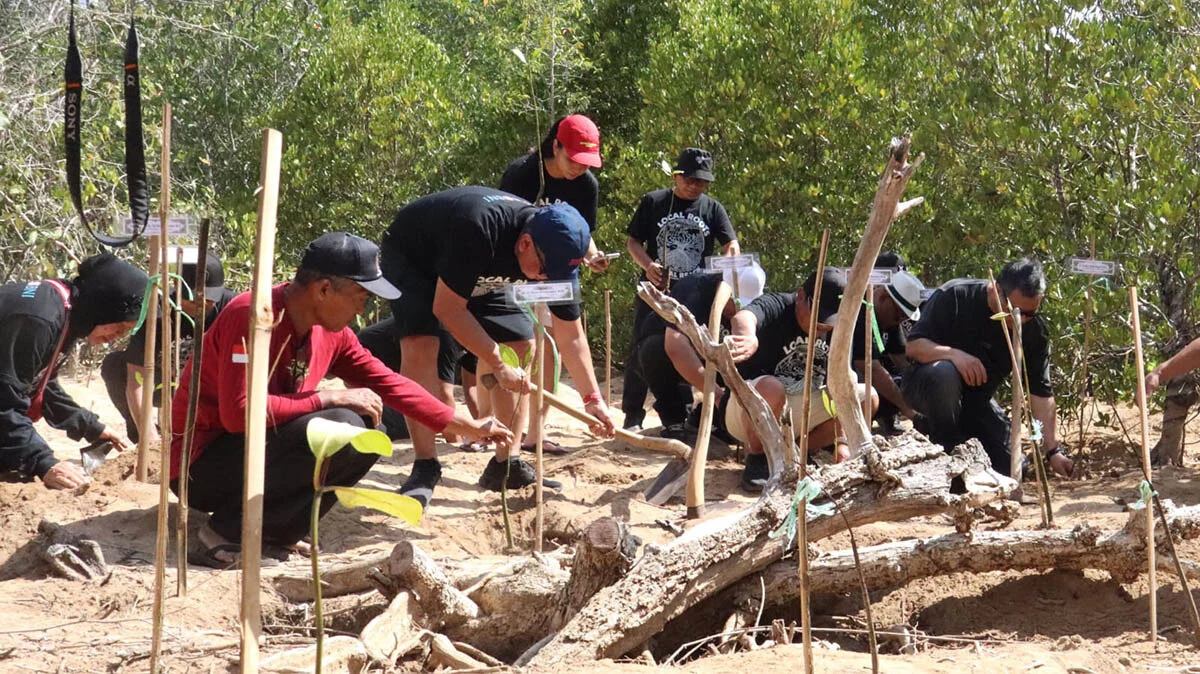 CMC Tiga Warna Bidik Bursa Karbon, Andreas Targetkan Tanam Mangrove 10,5 Hektare per Tahun