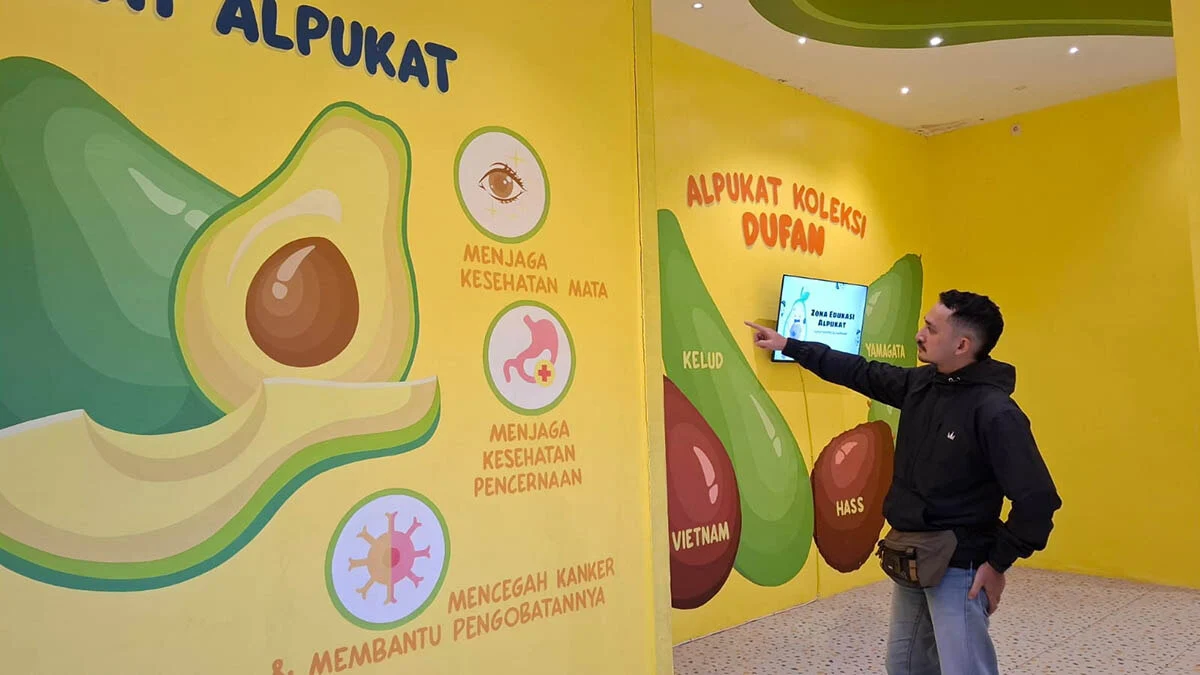 Dufan Kota Batu Hadirkan Safari Drien untuk Keliling Kebun Durian