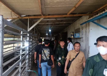 Kandang 40 Anjing Cak Dur di Sumberpucung Akan Ditertibkan Satpol PP