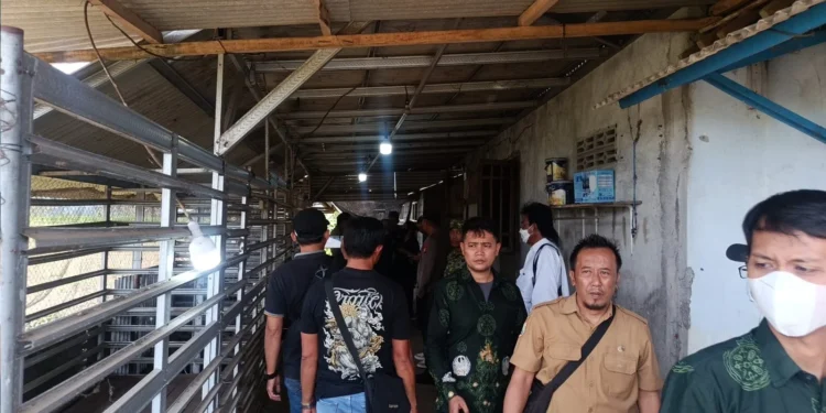 Kandang 40 Anjing Cak Dur di Sumberpucung Akan Ditertibkan Satpol PP