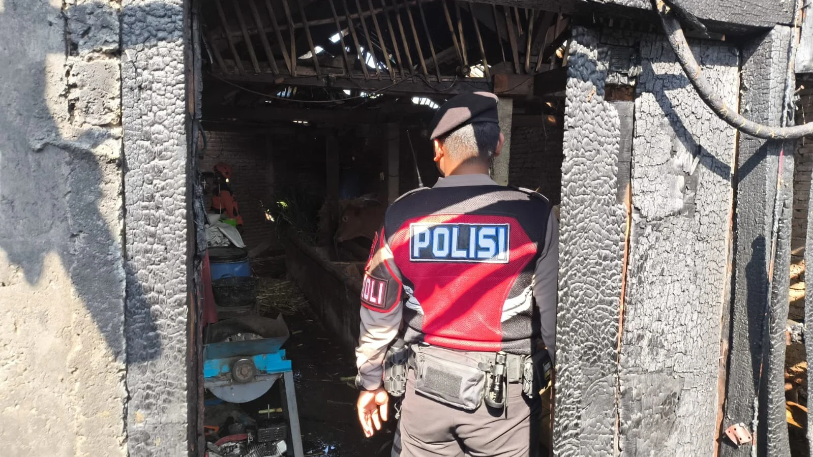 Kandang Ayam dan Gudang Pupuk Terbakar di Junrejo Kota Batu