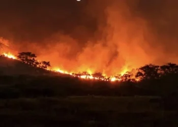Karhutla Gunung Arjuno Meluas hingga Wilayah Sumbergondo Kota Batu