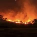 Karhutla Gunung Arjuno Meluas hingga Wilayah Sumbergondo Kota Batu