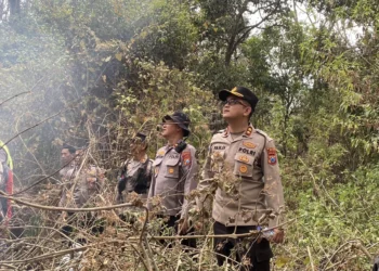 Masih Membara! Kapolres Batu Ikut Naik Gunung Padamkan Karhutla Gunung Arjuno